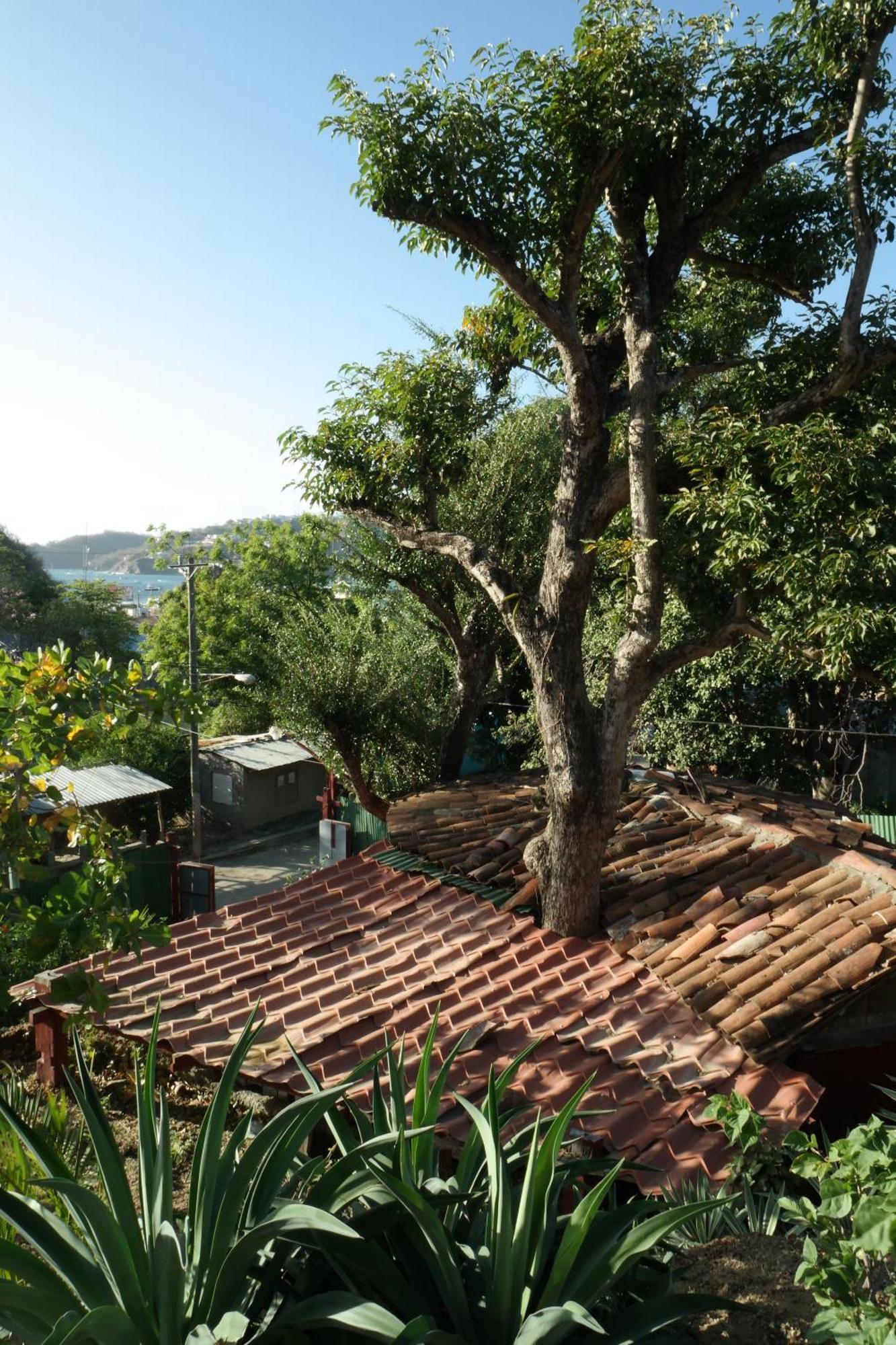 1 Bedroom Cabin, 3 Blocks From Beach And Center Of San Juan San Juan del Sur Εξωτερικό φωτογραφία